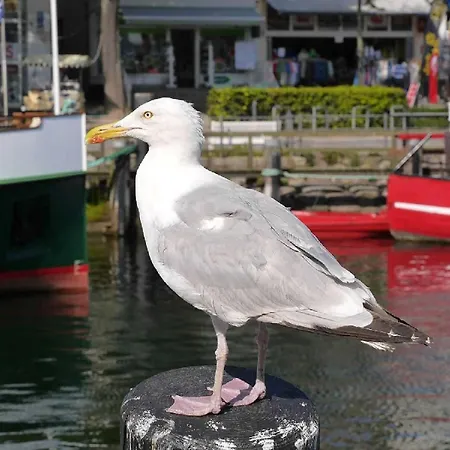 Und Fritz Reuter בית אירוח *